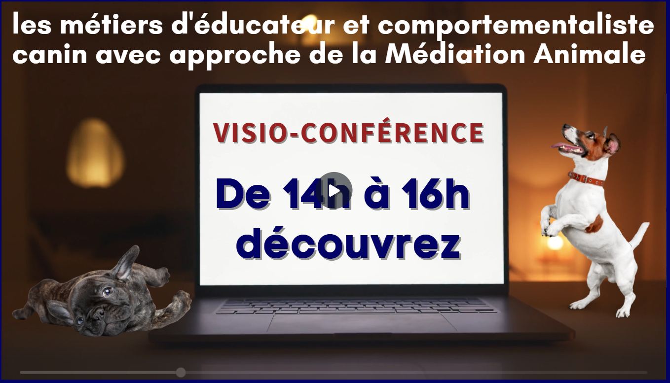 20200714_journee_formation_initiation_comportementalisme_canin.jpg initiation en éducation canine comportementalisme canin