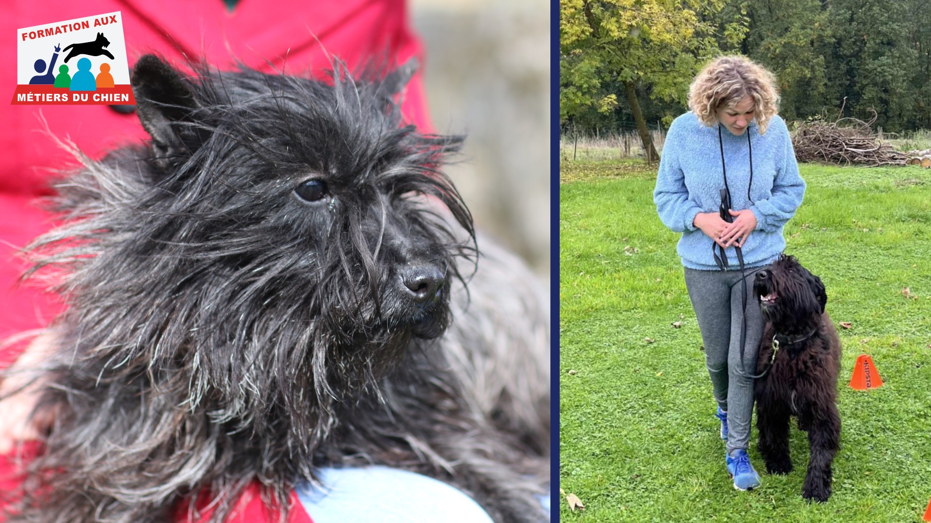 initiation en &eacute;ducation canine comportementalisme canin