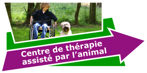 Centre de thérapie assisté par l'animal