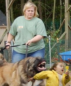 Atelier : comment se protéger contre les agressions de chiens