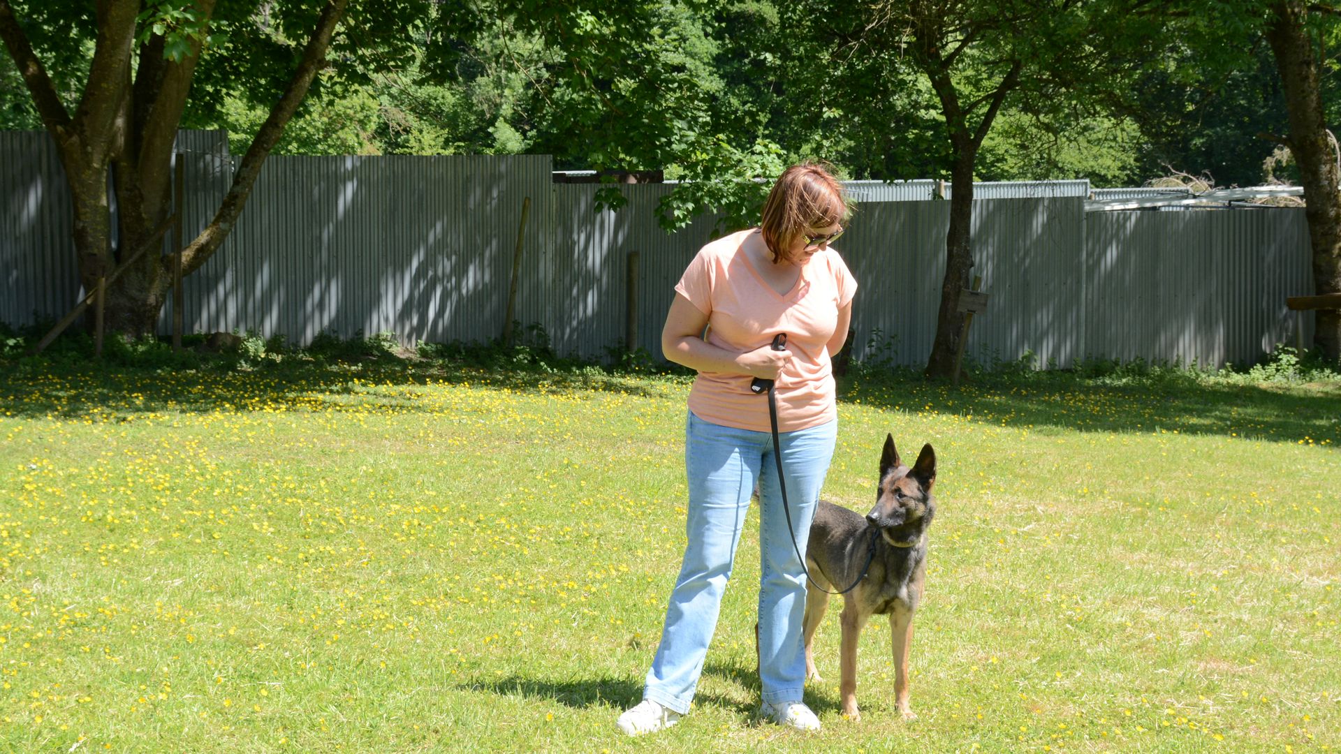 initiation en éducation canine comportementalisme canin